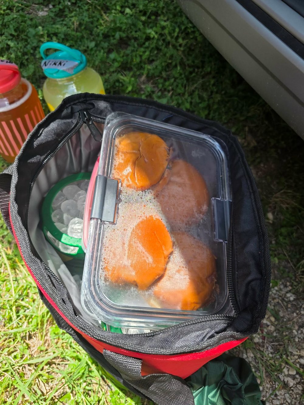 Cooler packed with reusable containers and ice for a day on the Comal River