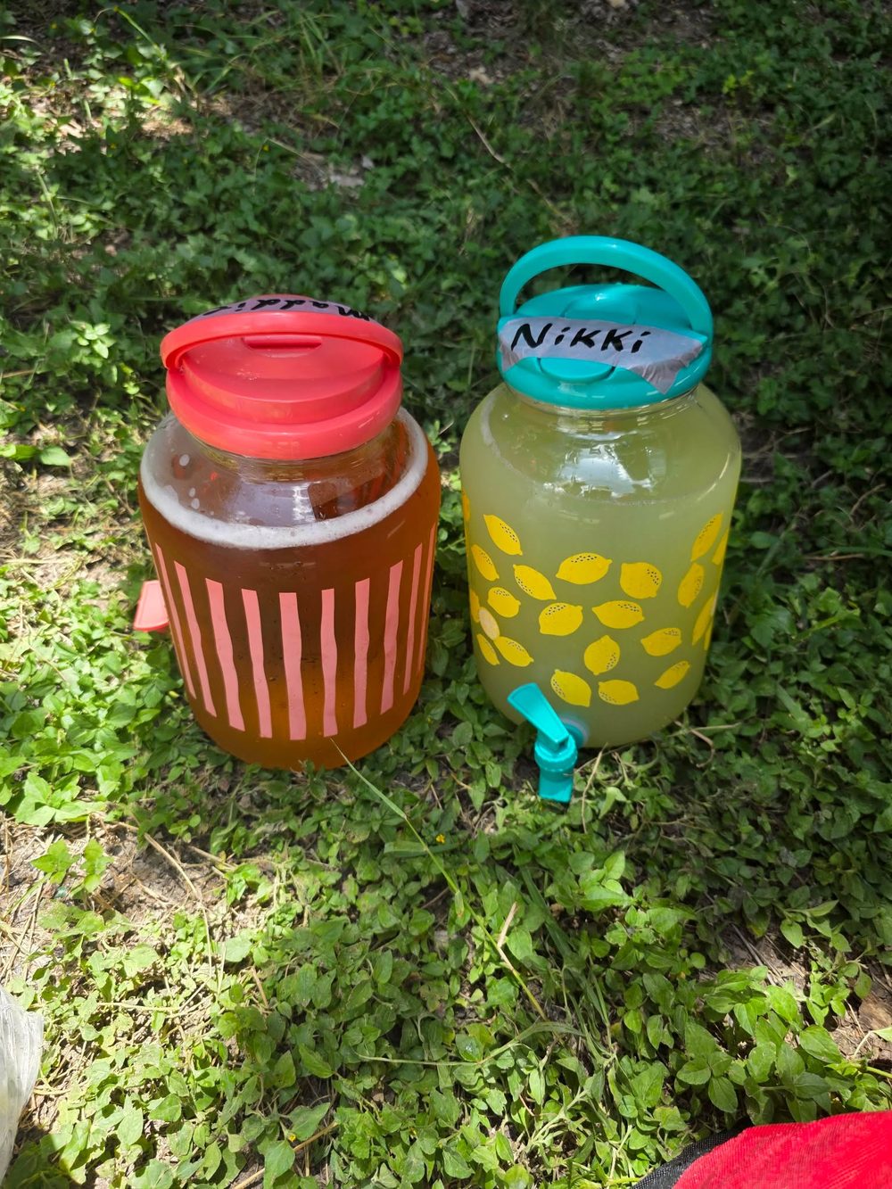 Reusable drink jugs filled with tea and lemonade for a river day