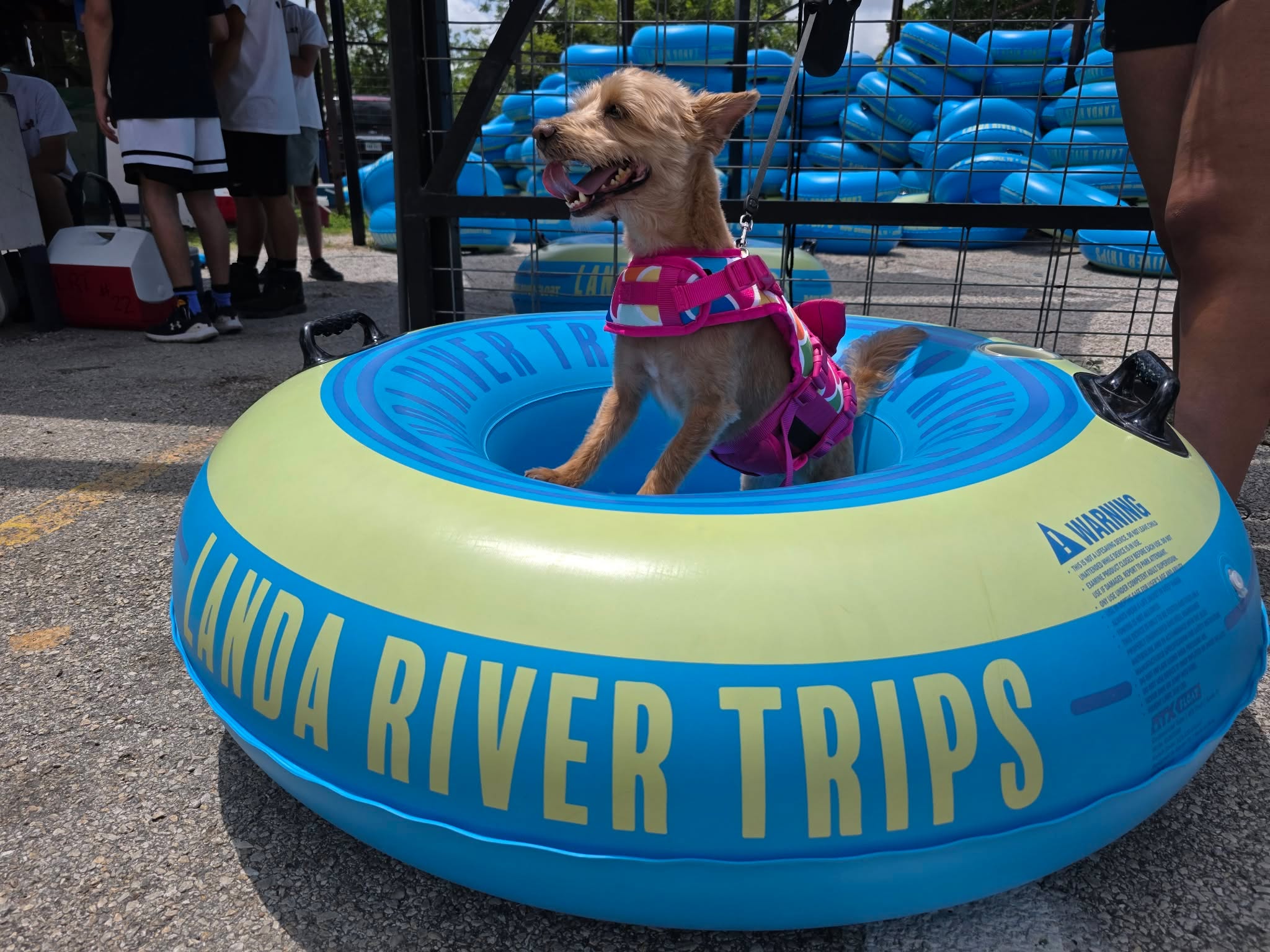 Small dog in a Landa River Trips tube with rental tubes stacked in the background