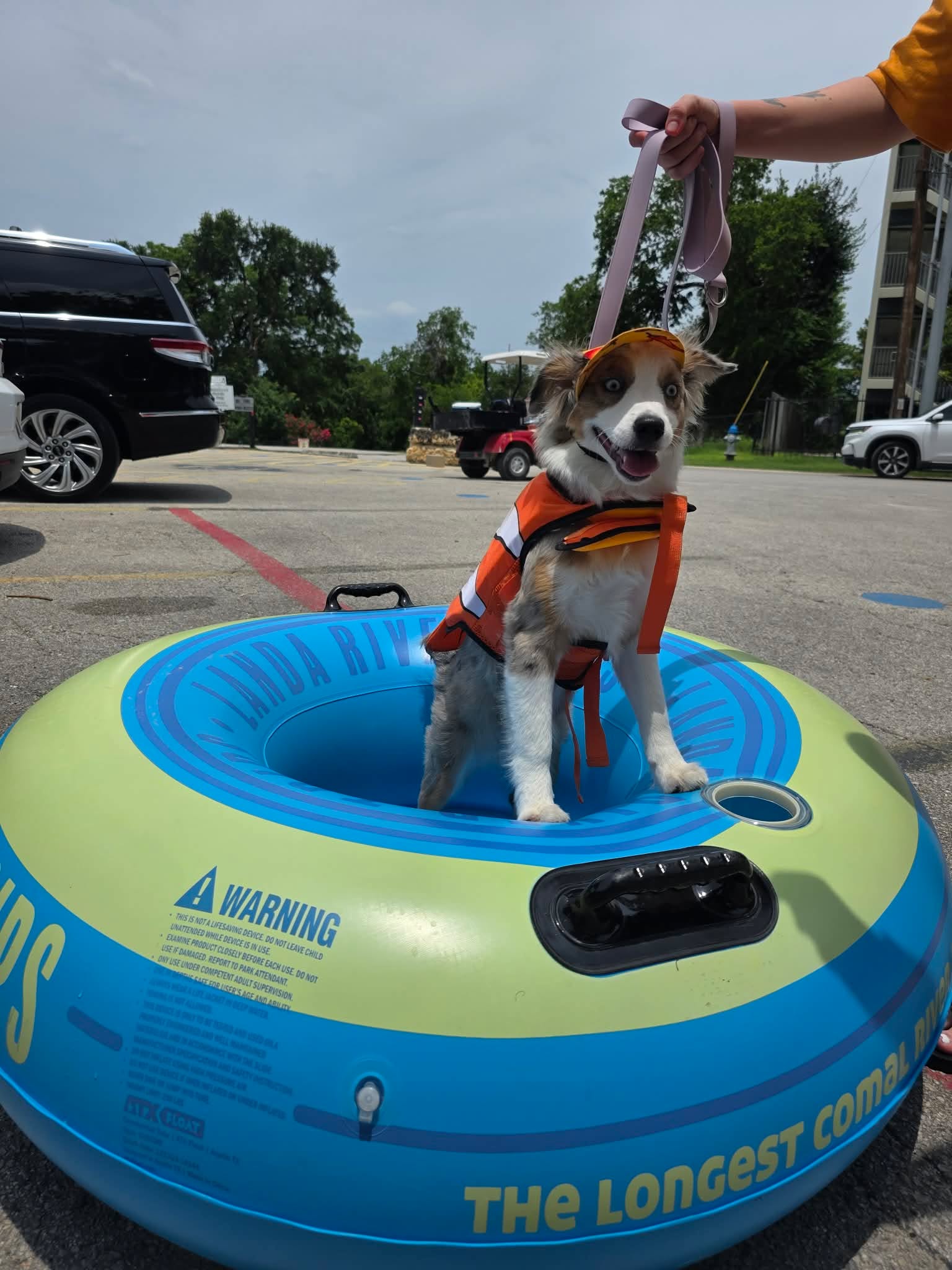 Dog wearing an orange life jacket standing in a Landa River Trips tube in the parking lot